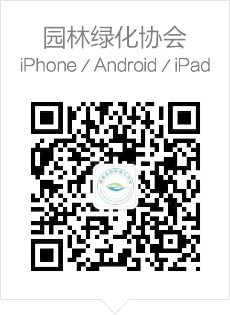 微信公众号